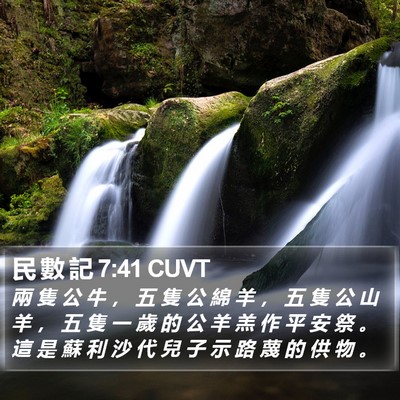 民 數 記 7:41 CUVT Bible Verse Image