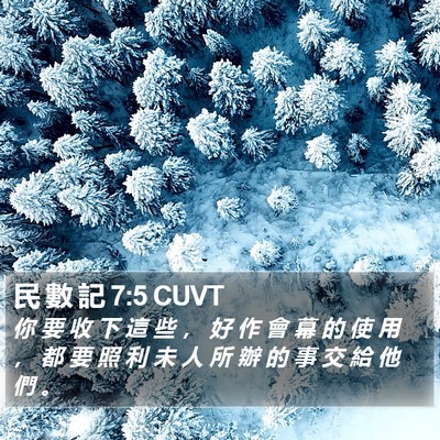 民 數 記 7:5 CUVT Bible Verse Image
