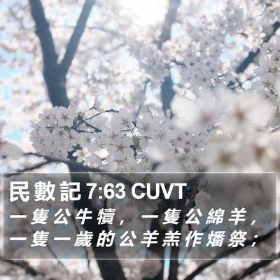 民 數 記 7:63 CUVT Bible Verse Image