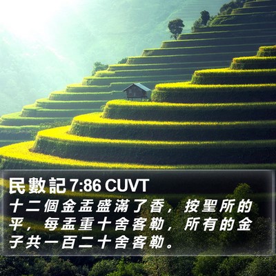 民 數 記 7:86 CUVT Bible Verse Image