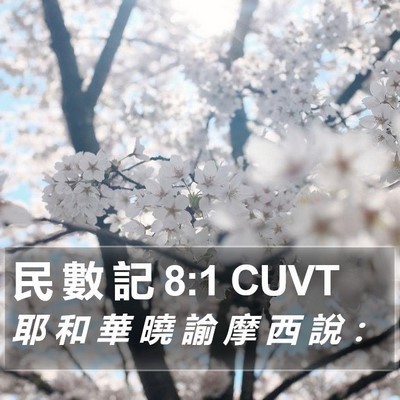 民 數 記 8:1 CUVT Bible Verse Image