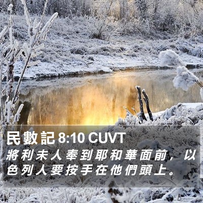 民 數 記 8:10 CUVT Bible Verse Image