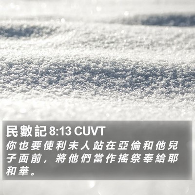 民 數 記 8:13 CUVT Bible Verse Image
