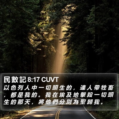 民 數 記 8:17 CUVT Bible Verse Image