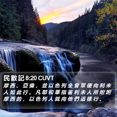 民 數 記 8:20 CUVT Bible Verse Image