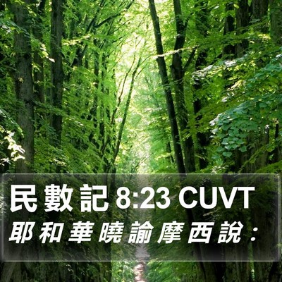 民 數 記 8:23 CUVT Bible Verse Image