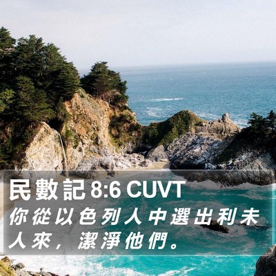 民 數 記 8:6 CUVT Bible Verse Image