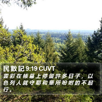 民 數 記 9:19 CUVT Bible Verse Image