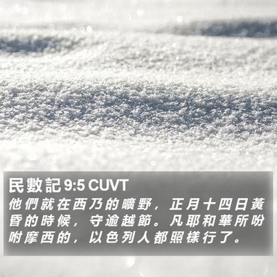 民 數 記 9:5 CUVT Bible Verse Image