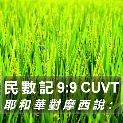 民 數 記 9:9 CUVT Bible Verse Image