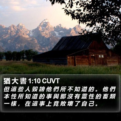 猶 大 書 1:10 CUVT Bible Verse Image