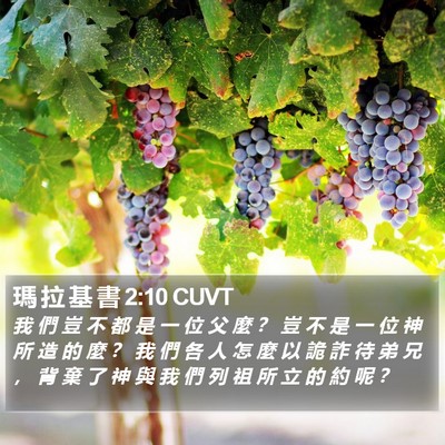 瑪 拉 基 書 2:10 CUVT Bible Verse Image