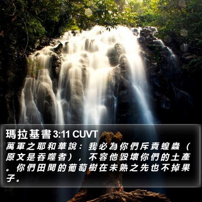 瑪 拉 基 書 3:11 CUVT Bible Verse Image