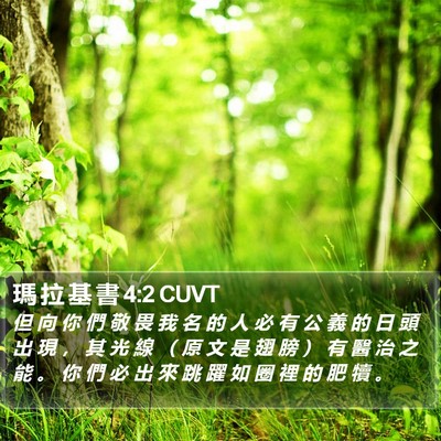 瑪 拉 基 書 4:2 CUVT Bible Verse Image