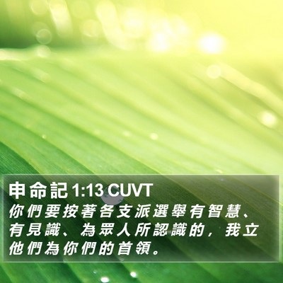 申 命 記 1:13 CUVT Bible Verse Image