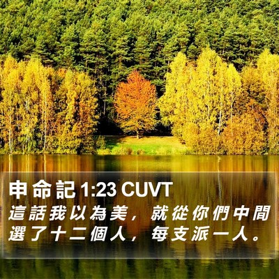 申 命 記 1:23 CUVT Bible Verse Image