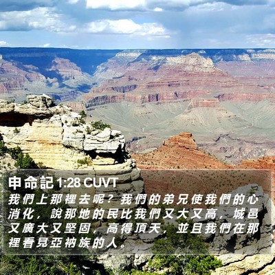 申 命 記 1:28 CUVT Bible Verse Image