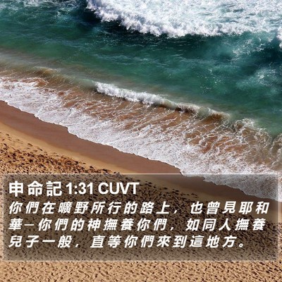 申 命 記 1:31 CUVT Bible Verse Image