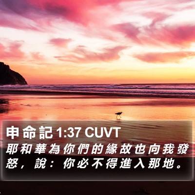 申 命 記 1:37 CUVT Bible Verse Image