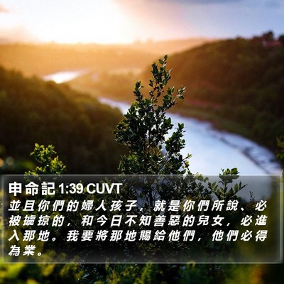 申 命 記 1:39 CUVT Bible Verse Image