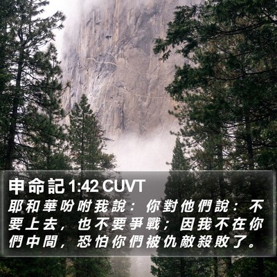 申 命 記 1:42 CUVT Bible Verse Image