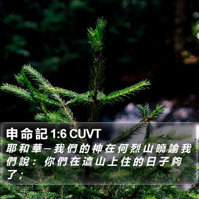 申 命 記 1:6 CUVT Bible Verse Image
