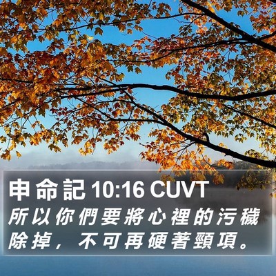 申 命 記 10:16 CUVT Bible Verse Image