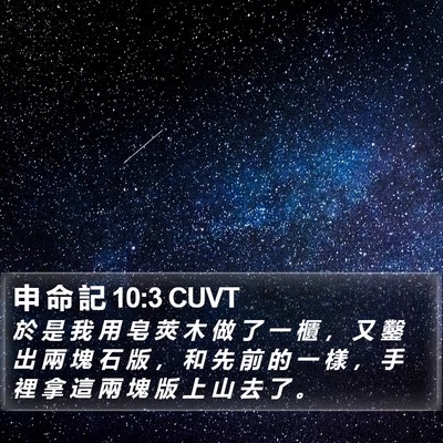 申 命 記 10:3 CUVT Bible Verse Image