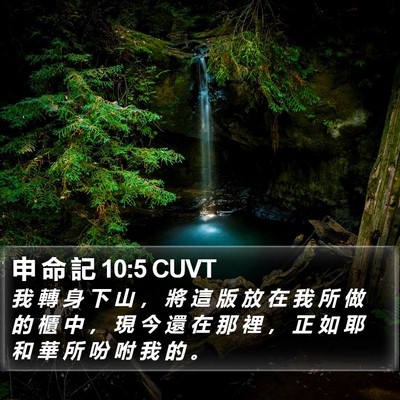 申 命 記 10:5 CUVT Bible Verse Image