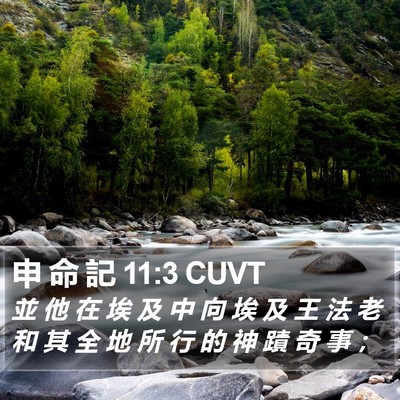 申 命 記 11:3 CUVT Bible Verse Image