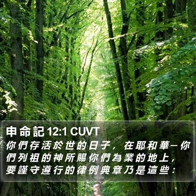 申 命 記 12:1 CUVT Bible Verse Image