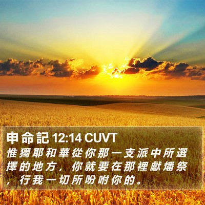 申 命 記 12:14 CUVT Bible Verse Image