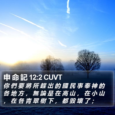 申 命 記 12:2 CUVT Bible Verse Image