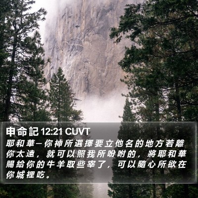 申 命 記 12:21 CUVT Bible Verse Image