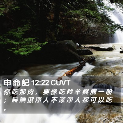 申 命 記 12:22 CUVT Bible Verse Image