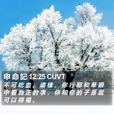 申 命 記 12:25 CUVT Bible Verse Image