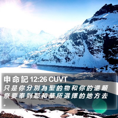 申 命 記 12:26 CUVT Bible Verse Image