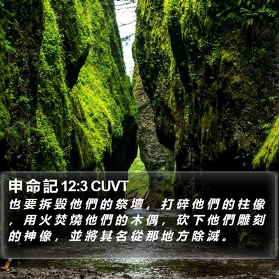 申 命 記 12:3 CUVT Bible Verse Image