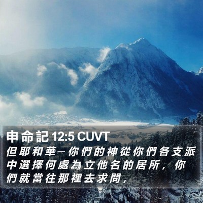 申 命 記 12:5 CUVT Bible Verse Image