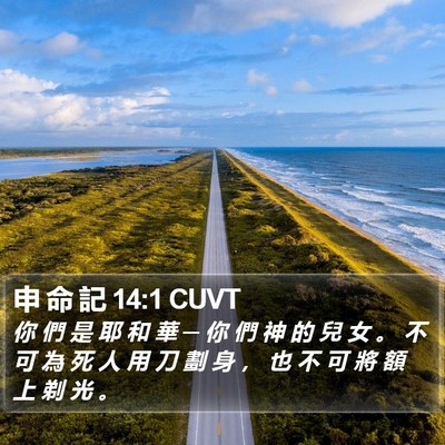 申 命 記 14:1 CUVT Bible Verse Image
