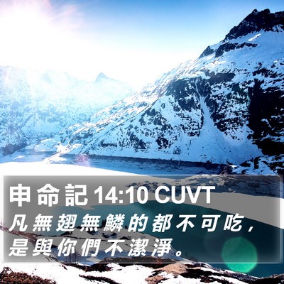 申 命 記 14:10 CUVT Bible Verse Image