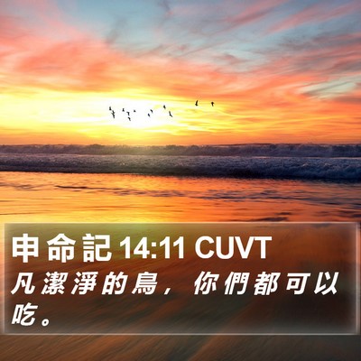 申 命 記 14:11 CUVT Bible Verse Image
