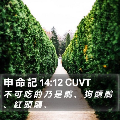申 命 記 14:12 CUVT Bible Verse Image