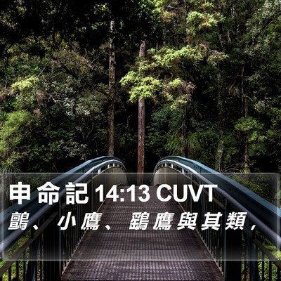 申 命 記 14:13 CUVT Bible Verse Image