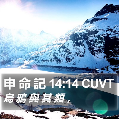 申 命 記 14:14 CUVT Bible Verse Image