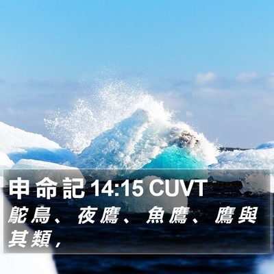 申 命 記 14:15 CUVT Bible Verse Image