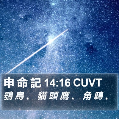 申 命 記 14:16 CUVT Bible Verse Image