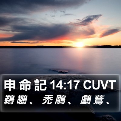 申 命 記 14:17 CUVT Bible Verse Image