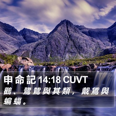 申 命 記 14:18 CUVT Bible Verse Image