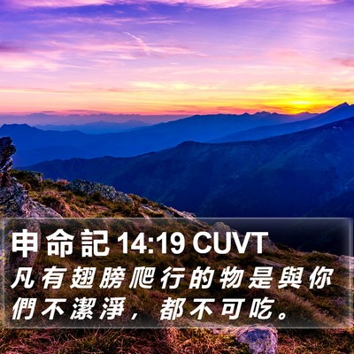 申 命 記 14:19 CUVT Bible Verse Image